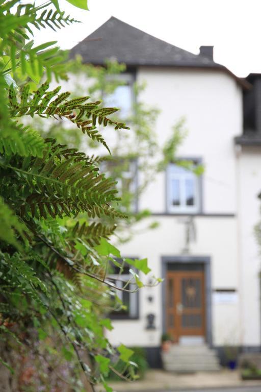 Ferienweingut Serwaziwein Mesenich Zewnętrze zdjęcie